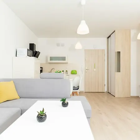 Feniks 10 By Jantar Apartment